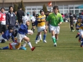 youngwave_kitakyusyu_rugby_school_shinjinsen009.JPG