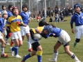 youngwave_kitakyusyu_rugby_school_shinjinsen060.JPG