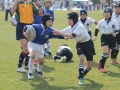 youngwave_kitakyusyu_rugby_school_shinjinsen090.JPG