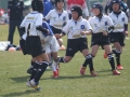 youngwave_kitakyusyu_rugby_school_shinjinsen100.JPG