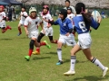 youngwave_kitakyusyu_rugby_school_kasugahai2016011.JPG