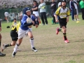 youngwave_kitakyusyu_rugby_school_kasugahai2016099.JPG
