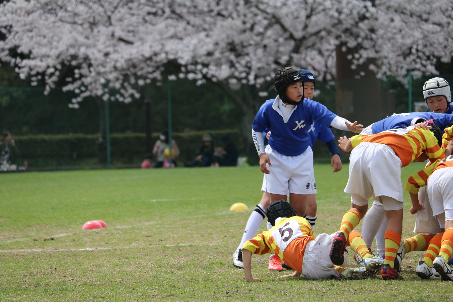 youngwave_kitakyusyu_rugby_school_kasugahai2016053.JPG