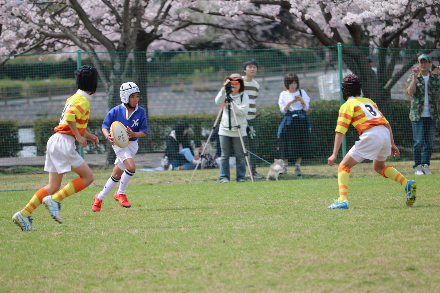 youngwave_kitakyusyu_rugby_school_kasugahai2016062.JPG
