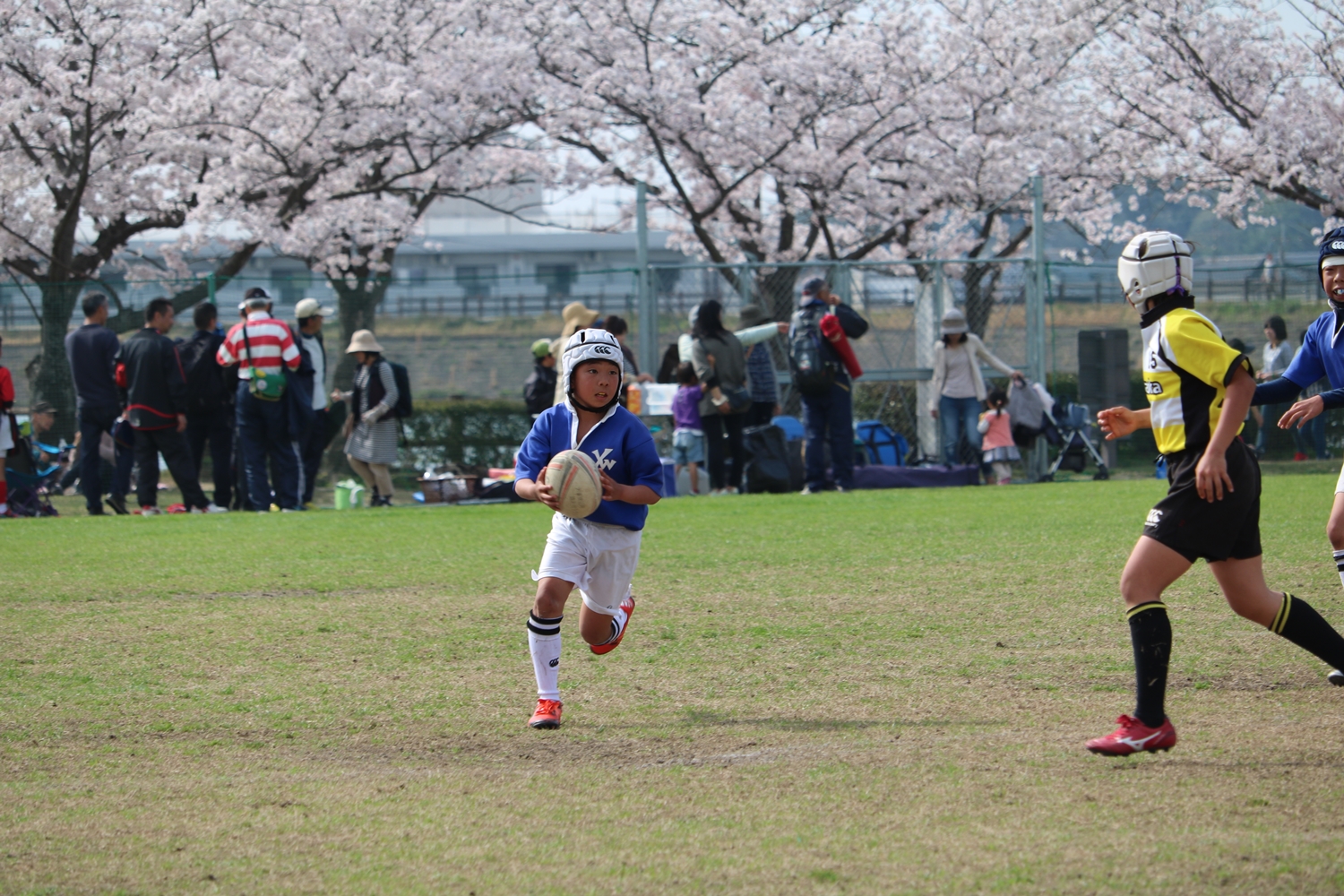 youngwave_kitakyusyu_rugby_school_kasugahai2016109.JPG