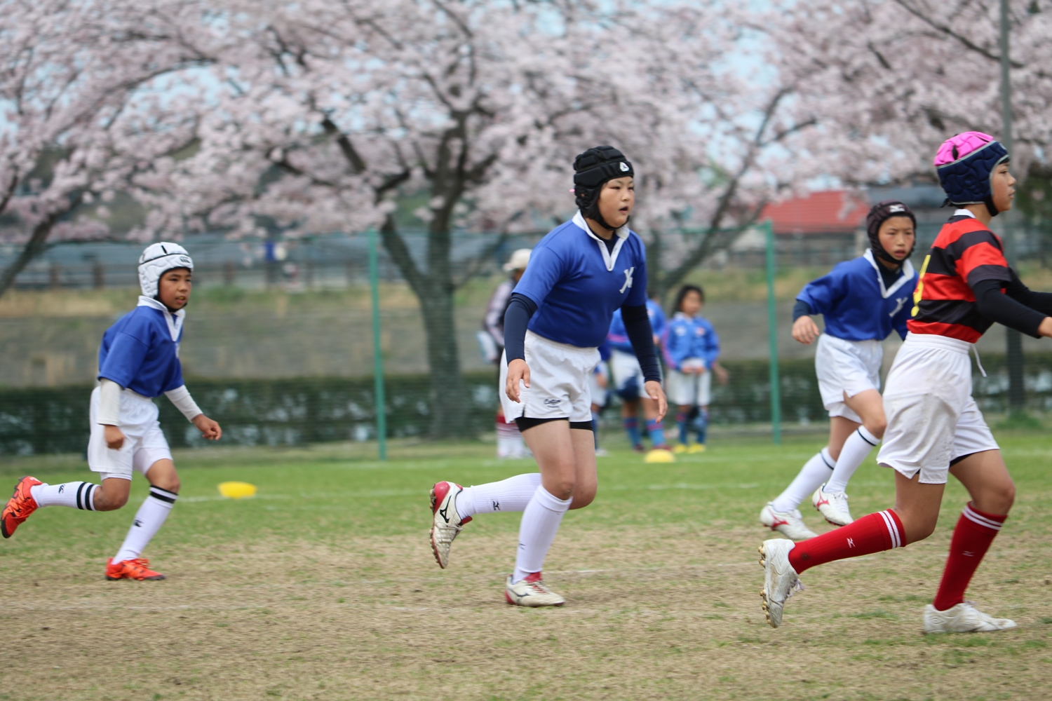 youngwave_kitakyusyu_rugby_school_kasugahai2016030.JPG