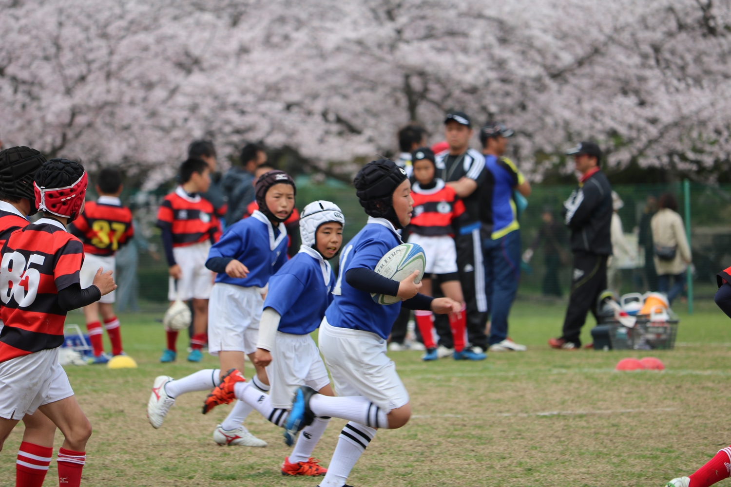 youngwave_kitakyusyu_rugby_school_kasugahai2016040.JPG