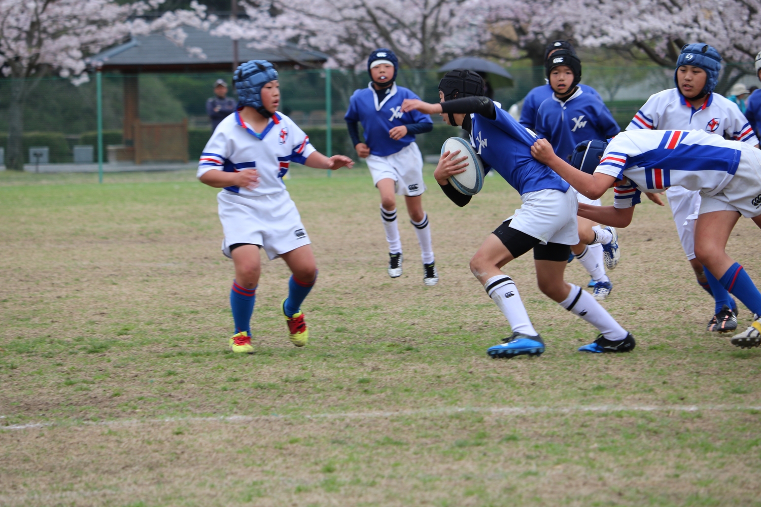 youngwave_kitakyusyu_rugby_school_kasugahai2016146.JPG