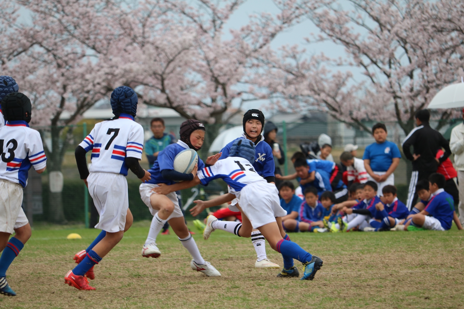 youngwave_kitakyusyu_rugby_school_kasugahai2016150.JPG