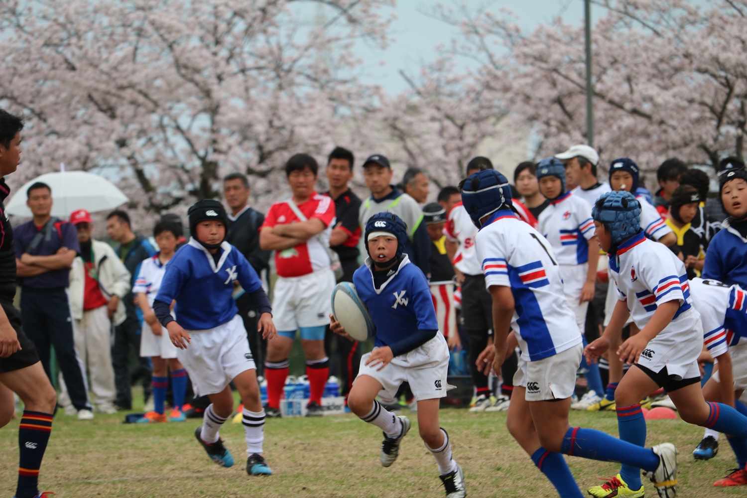 youngwave_kitakyusyu_rugby_school_kasugahai2016152.JPG