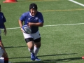 youngwaverugby08