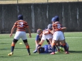 youngwaverugby20