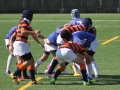 youngwaverugby22