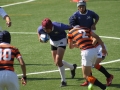 youngwaverugby24