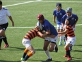 youngwaverugby29
