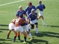youngwaverugby31