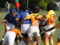 youngwaverugby11