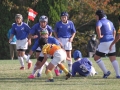 youngwaverugby17