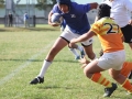 youngwaverugby26