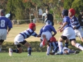 youngwaverugby27