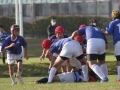 youngwaverugby28