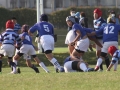 youngwaverugby29