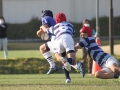 youngwaverugby35