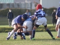 youngwaverugby37