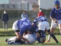 youngwaverugby39