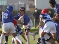 youngwaverugby40