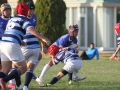 youngwaverugby48