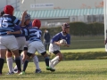 youngwaverugby49