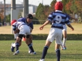 youngwaverugby50