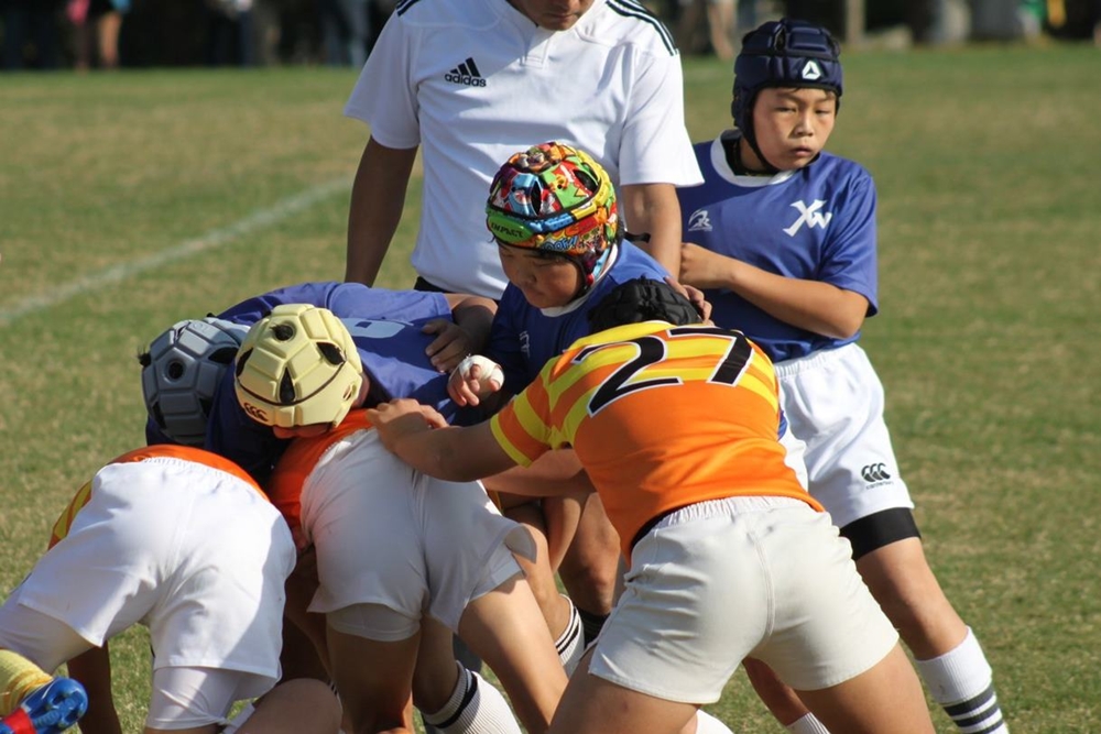 youngwaverugby12