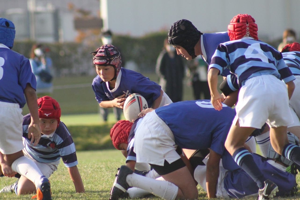 youngwaverugby41