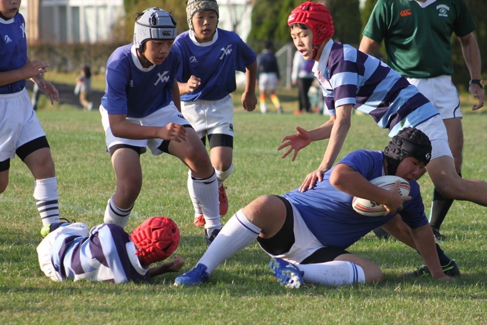 youngwaverugby44