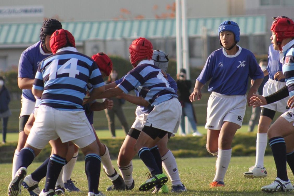 youngwaverugby45