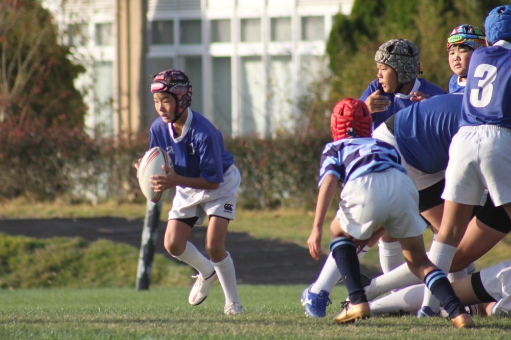 youngwaverugby47