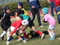 youngwave_kitakyusyu_rugby_school_yamaguchi_kouryu_2016b050.JPG