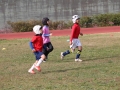 youngwave_kitakyusyu_rugby_school_yamaguchi_kouryu_2016b056.JPG
