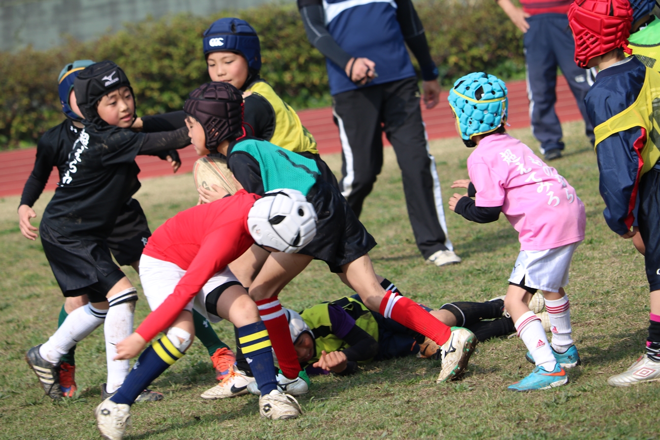 youngwave_kitakyusyu_rugby_school_yamaguchi_kouryu_2016b050.JPG