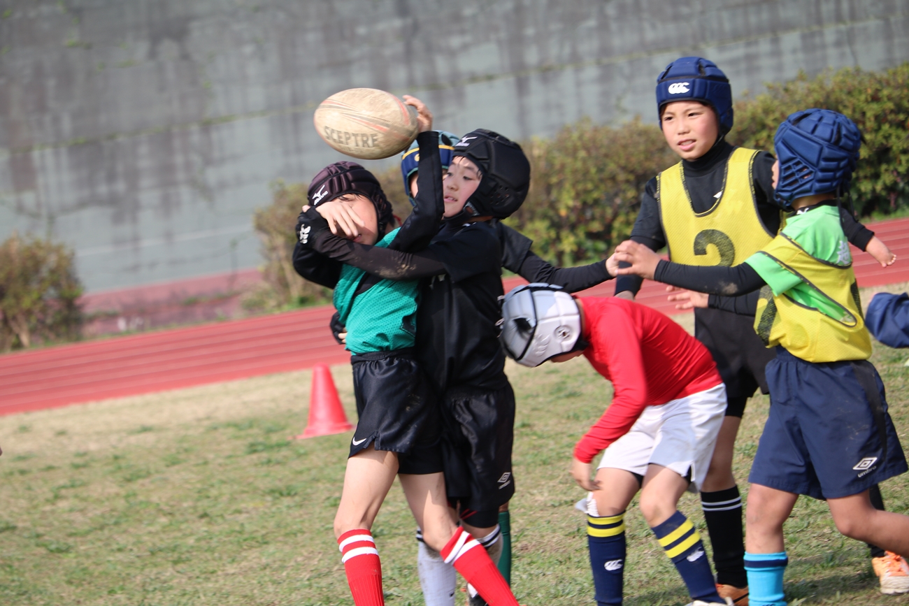 youngwave_kitakyusyu_rugby_school_yamaguchi_kouryu_2016b051.JPG
