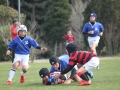 youngwave_kitakyusyu_rugby_school_shinjinsen2016092.JPG