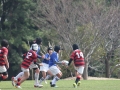 youngwave_kitakyusyu_rugby_school_shinjinsen2016103.JPG