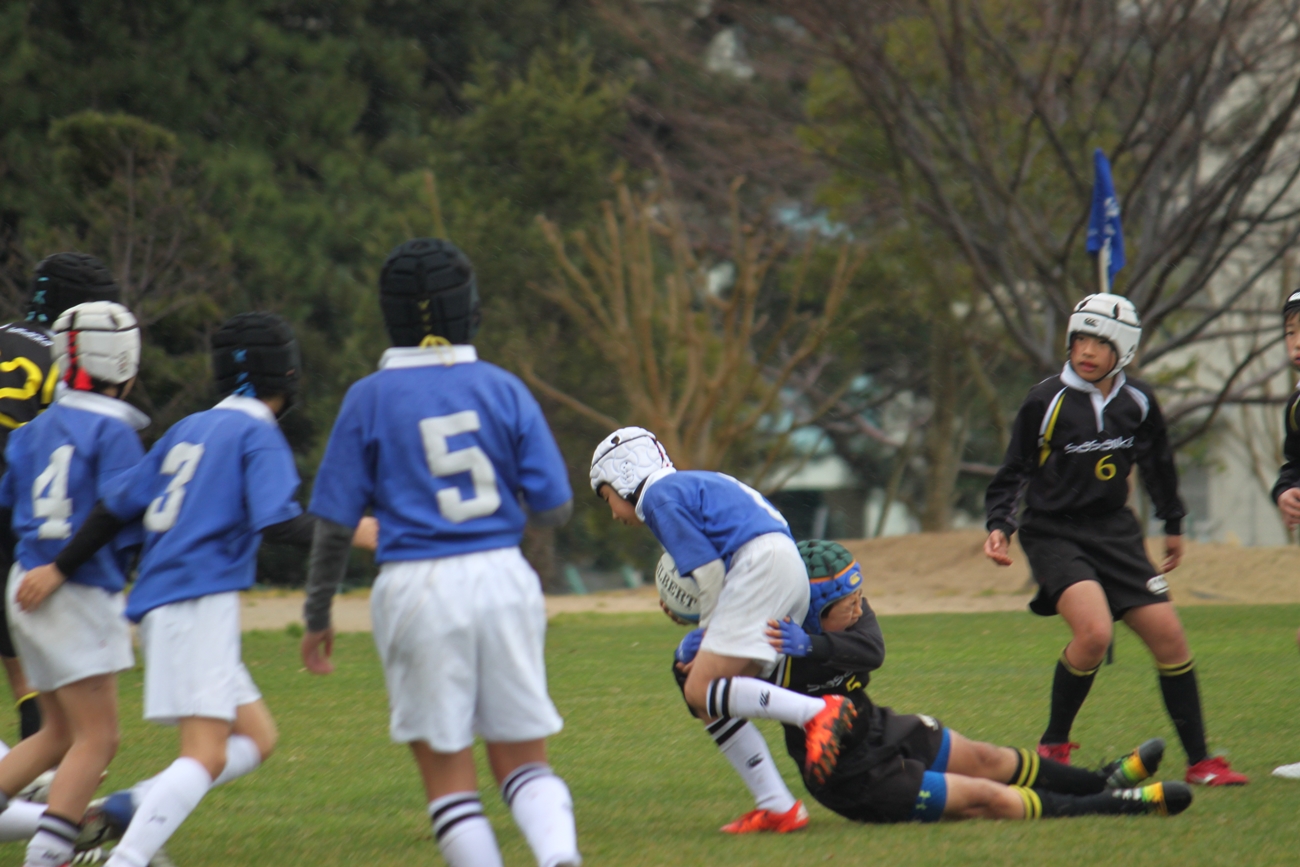 youngwave_kitakyusyu_rugby_school_shinjinsen2016011.JPG