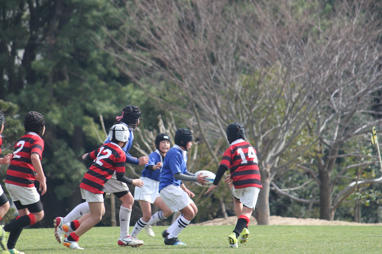 youngwave_kitakyusyu_rugby_school_shinjinsen2016103.JPG