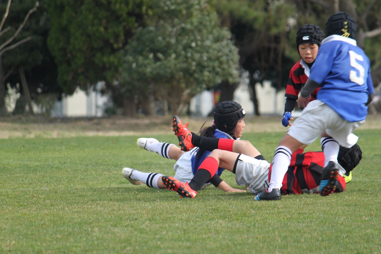 youngwave_kitakyusyu_rugby_school_shinjinsen2016122.JPG