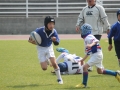 youngwave_kitakyusyu_rugby_school_simonosekikouryu2016034.JPG