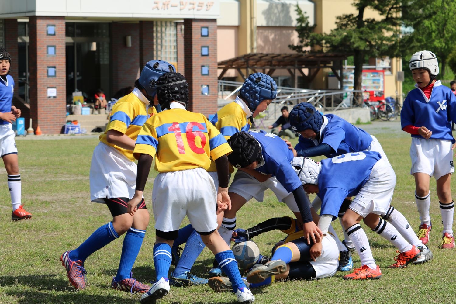 youngwave_kitakyusyu_rugby_school_chikuhokouryu2016118.JPG