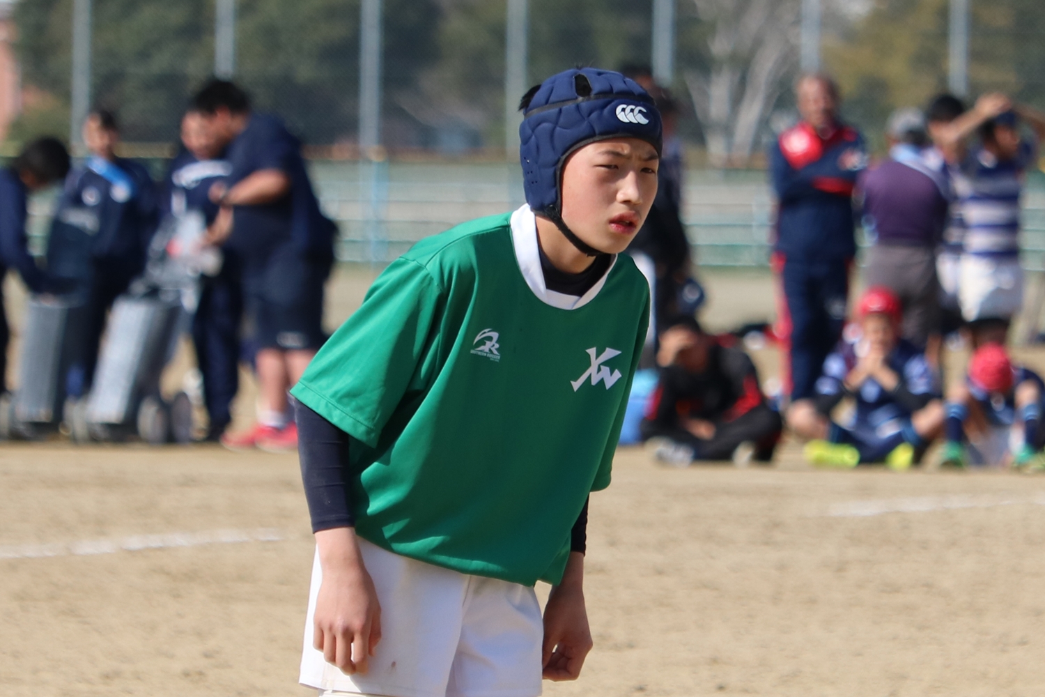 youngwave_2018111